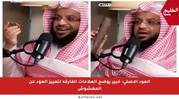العود الأصلي: خبير يوضح العلامات الفارقة لتمييز العود عن المغشوش